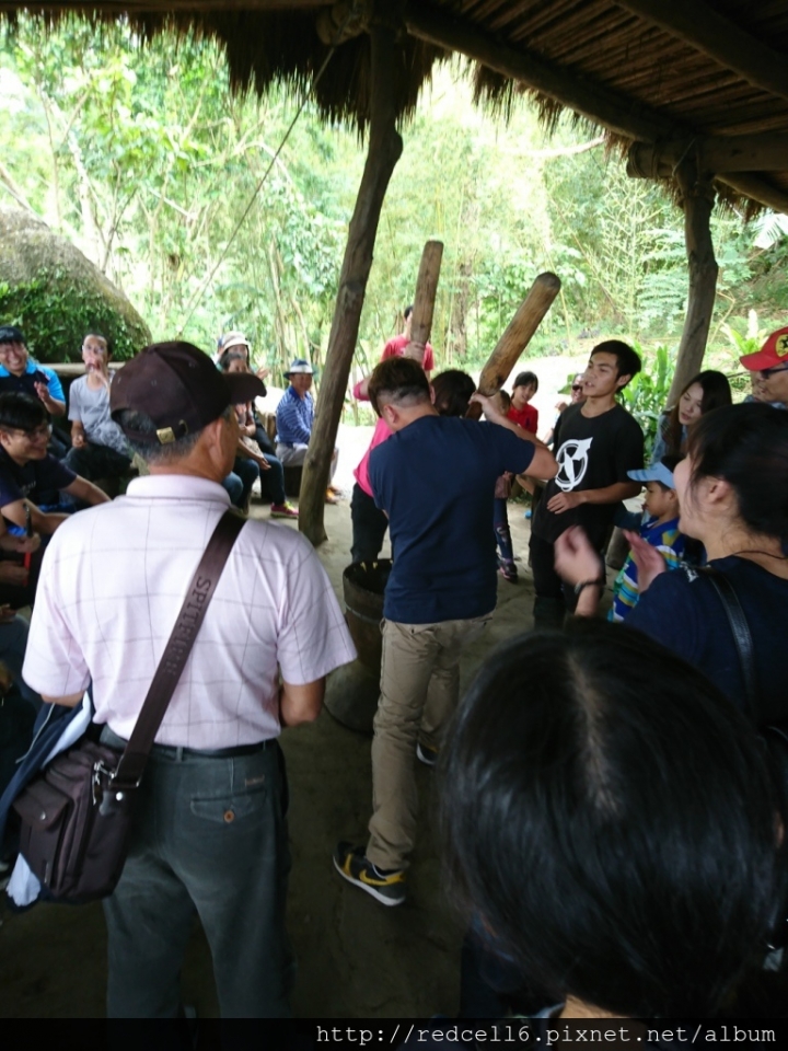 到台東鸞山森林博物館去尋找會走路的樹 部落生態旅遊心得分享