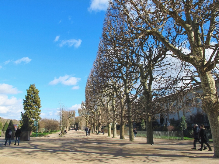 【Paris.走跳】巴黎拉丁區尋找甜點記_盧森堡公園散策與老鴿舍油封鴨