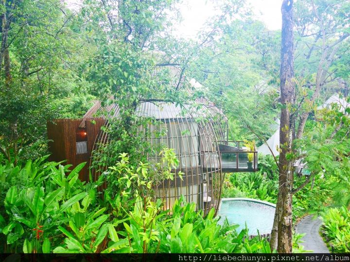 【泰國普吉島頂級住宿:Keemala奇瑪拉渡假村】Tree Pool House 雙層泳池樹屋(上)