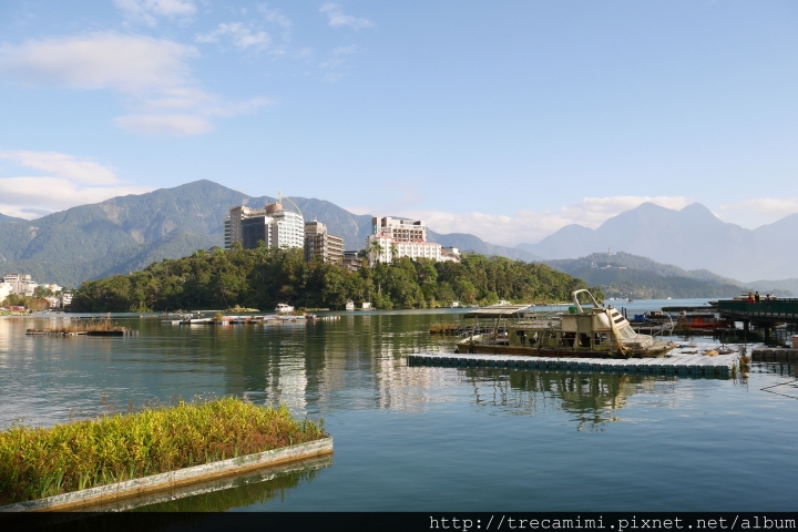 【旅遊-南投日月潭】朵麗絲的家(新館)-推薦貓奴此生必住,以貓為設計概念特色民宿,寵物友善歡迎貓狗來玩!全新開幕試營運中