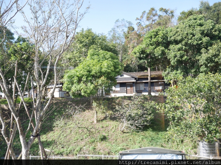 【旅遊-南投日月潭】朵麗絲的家(新館)-推薦貓奴此生必住,以貓為設計概念特色民宿,寵物友善歡迎貓狗來玩!全新開幕試營運中