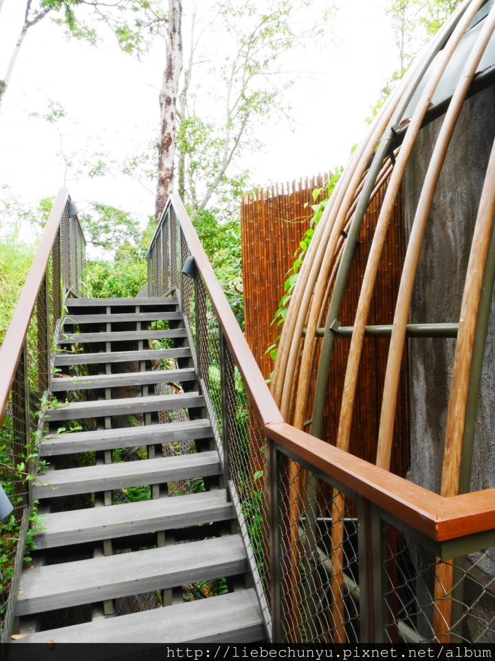 【泰國普吉島頂級住宿:Keemala奇瑪拉渡假村】Tree Pool House 雙層泳池樹屋(上)
