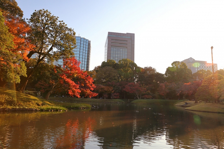 【2016關東】箱根、富士五湖、東京12日親子遊行程總覽。一網打盡紅葉、銀杏、富士山跟無敵夜景