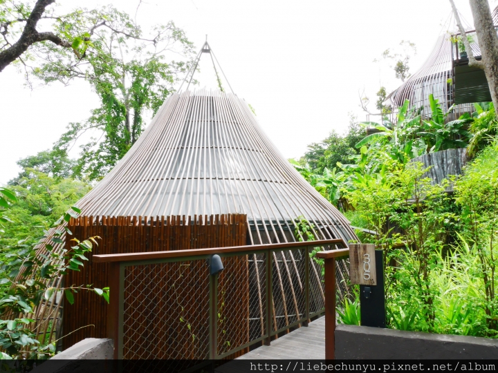 【泰國普吉島頂級住宿:Keemala奇瑪拉渡假村】Tree Pool House 雙層泳池樹屋(上)
