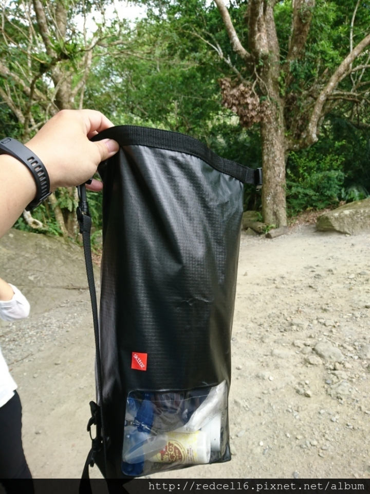 到台東鸞山森林博物館去尋找會走路的樹 部落生態旅遊心得分享