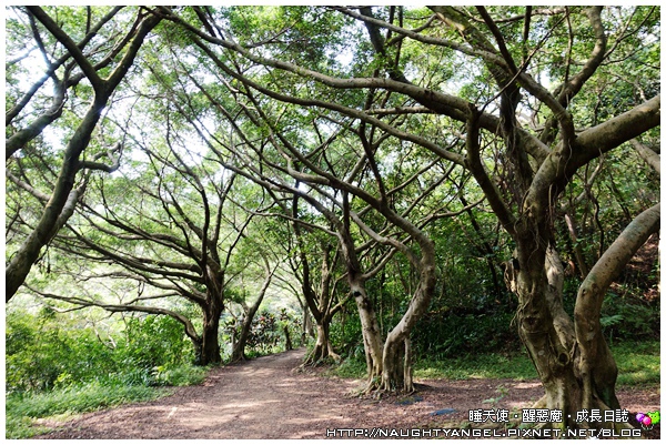 【桃園-虎頭山】適合聚會小歇的山中景觀餐廳~綠庭緣