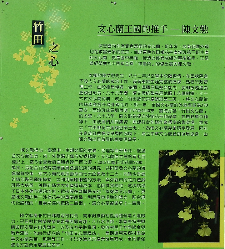 美與寧靜!竹田鄉天使花園,文心蘭栽培王國。