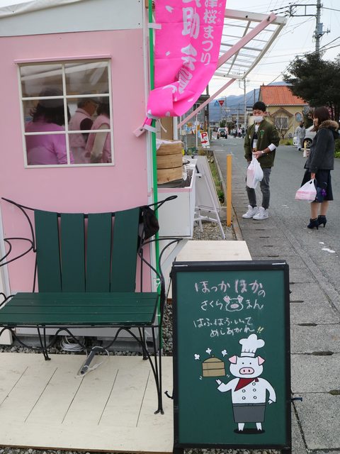 「静岡景點」--來日本最早滿開的千本櫻小鎮 河津町看河津櫻!