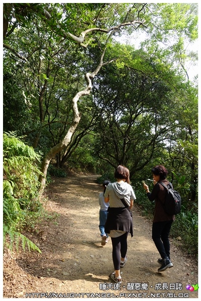 【桃園-虎頭山】適合聚會小歇的山中景觀餐廳~綠庭緣