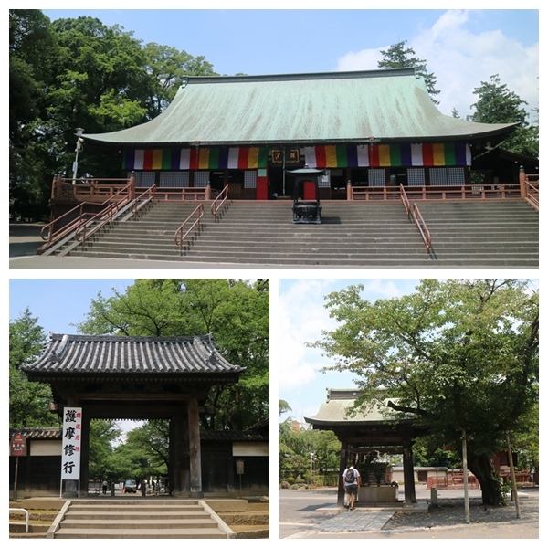 【遊。2016川越】喜多院、冰川神社、小川菊鰻魚飯、小江戶川越一日遊