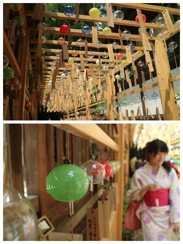 【遊。2016川越】喜多院、冰川神社、小川菊鰻魚飯、小江戶川越一日遊