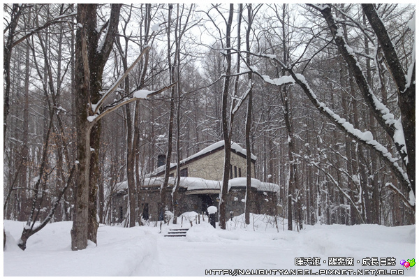 【北海道滑雪樂】富良野滑雪場Family Snow Land、雪上汽艇、香蕉船玩到爽,森林裡尋找小精靈