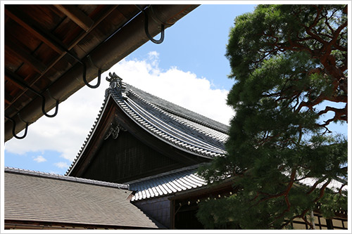 〈關西親子自助行〉Day5:渡月橋 - 古都芋本舗 - 野宮神社 - 天龍寺 - 竹林步道 - 嵐山小火車 - 午餐(嵯峨とうふ 稲) - 梅田.焼肉の牛太