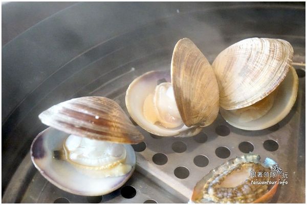 蒸養生蒸氣鍋