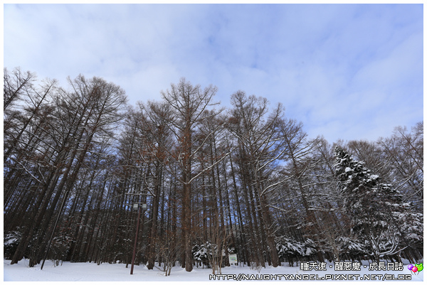 【北海道滑雪樂】富良野滑雪場Family Snow Land、雪上汽艇、香蕉船玩到爽,森林裡尋找小精靈