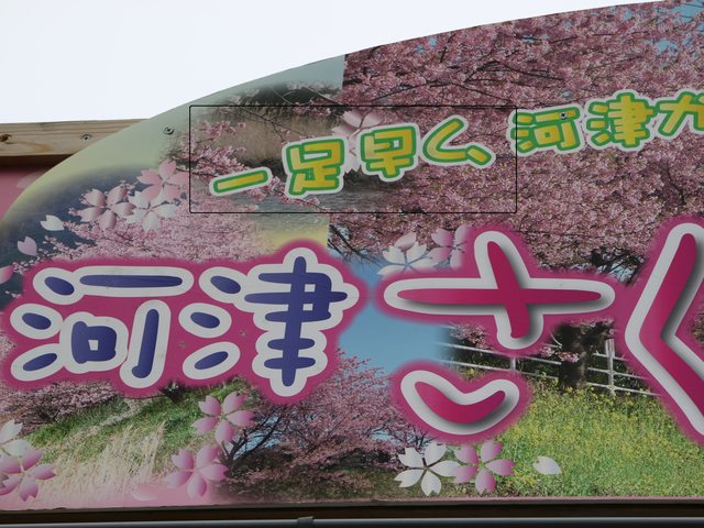 「静岡景點」--來日本最早滿開的千本櫻小鎮 河津町看河津櫻!