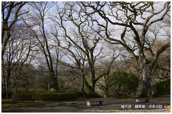 【箱根住宿】渡假的腳步就該緩慢,箱根高地飯店的恬靜清悠讓人忍不住停下腳步來好好享受這裡的美