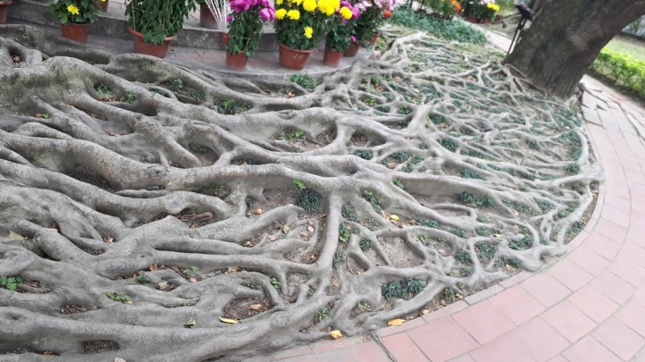 Samsung Galaxy A7(2017)讓你感受旗艦機種的威~顯