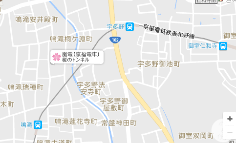 「京都的櫻花」--京都賞櫻景點、路線整理分享