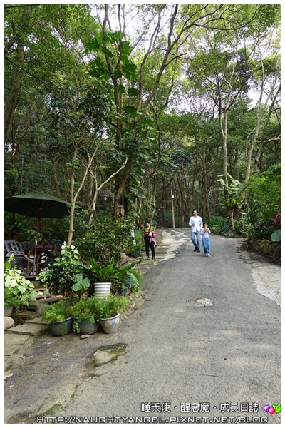 【桃園-虎頭山】適合聚會小歇的山中景觀餐廳~綠庭緣