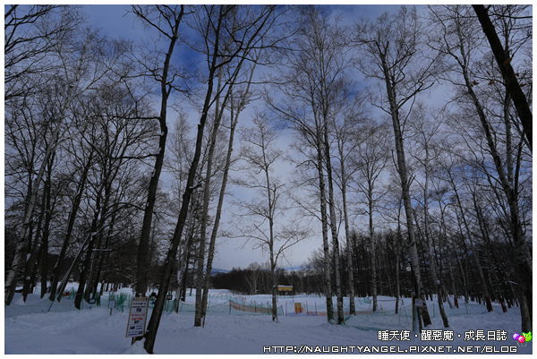 【北海道滑雪樂】富良野滑雪場Family Snow Land、雪上汽艇、香蕉船玩到爽,森林裡尋找小精靈