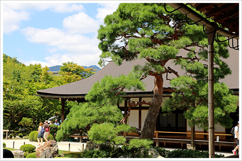 〈關西親子自助行〉Day5:渡月橋 - 古都芋本舗 - 野宮神社 - 天龍寺 - 竹林步道 - 嵐山小火車 - 午餐(嵯峨とうふ 稲) - 梅田.焼肉の牛太
