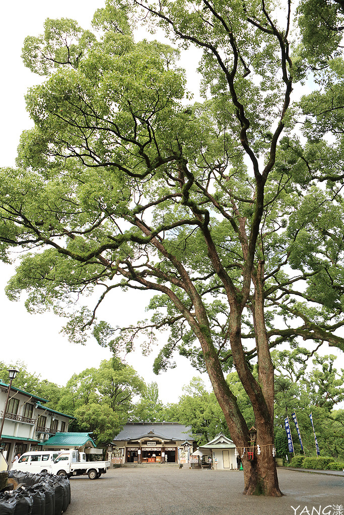 【熊本】震災後的熊本城,期待早日重振「熊」風