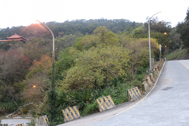 西莒 東莒 南竿 北竿 一個人旅遊 - day3 北竿 (最後一篇)