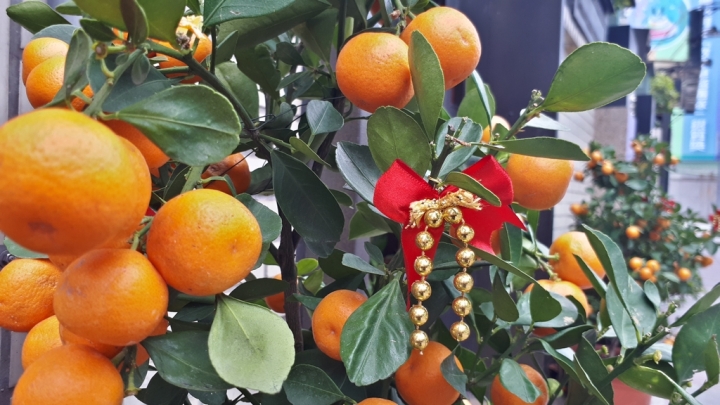 Samsung Galaxy A7(2017)讓你感受旗艦機種的威~顯