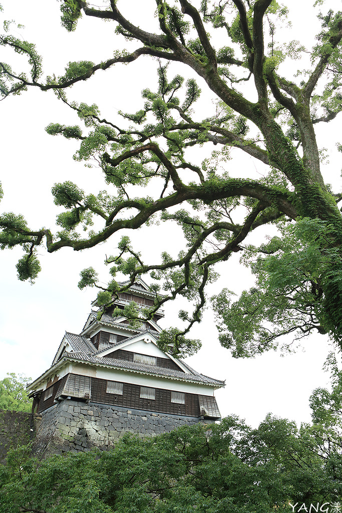 【熊本】震災後的熊本城,期待早日重振「熊」風