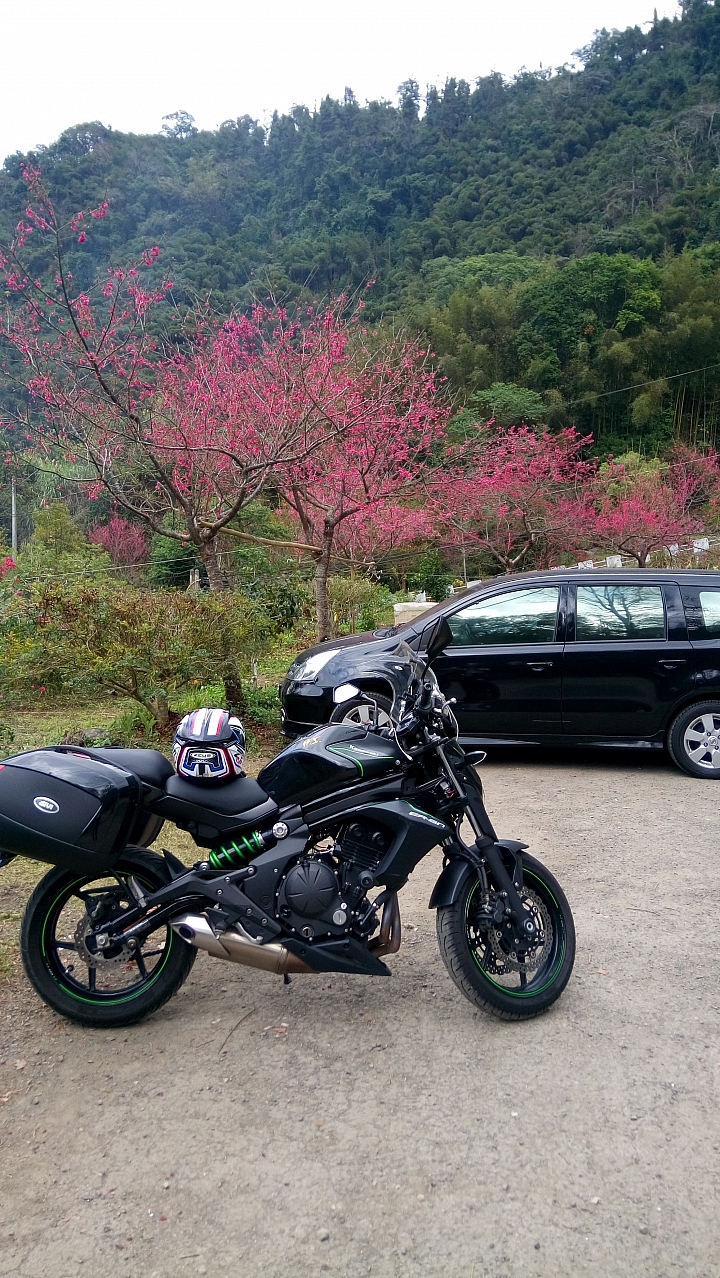 2/12 ER6N 誤闖隘蘭聯絡道(林班道)