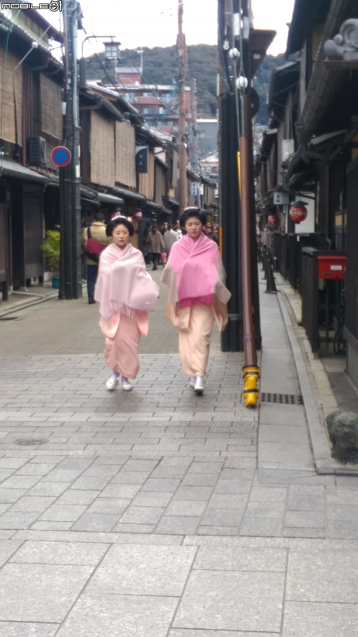 京都大阪 (京阪)電車 一日卷 使用分享