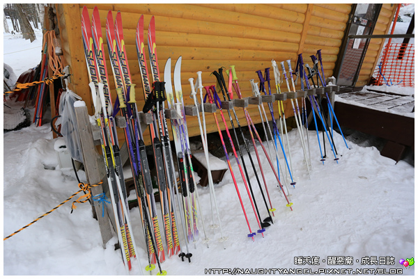 【北海道滑雪樂】富良野滑雪場Family Snow Land、雪上汽艇、香蕉船玩到爽,森林裡尋找小精靈