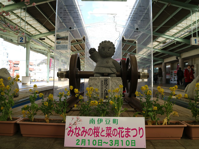 「靜岡景點」--不下河津町的河津櫻千本櫻:南伊豆町的油菜花與櫻花祭!!!