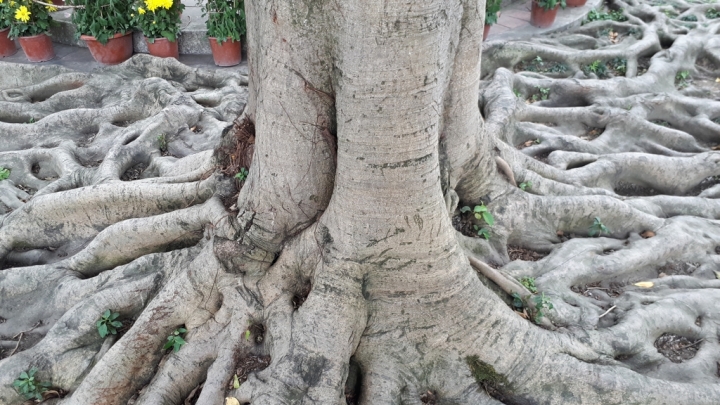 Samsung Galaxy A7(2017)讓你感受旗艦機種的威~顯