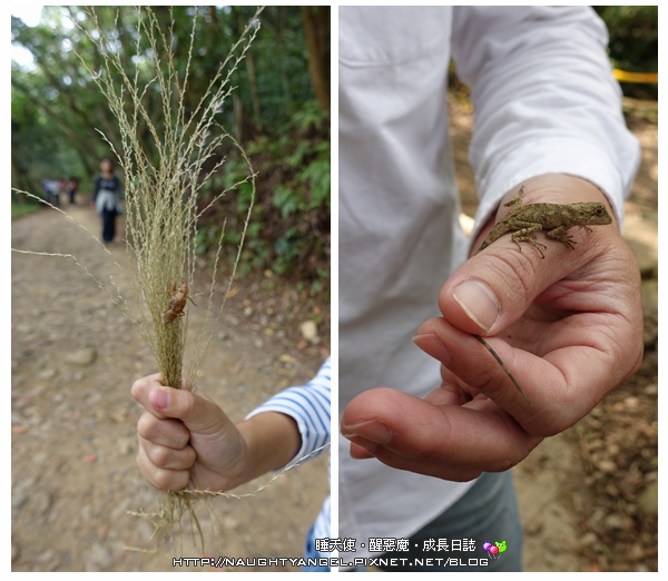 【桃園-虎頭山】適合聚會小歇的山中景觀餐廳~綠庭緣