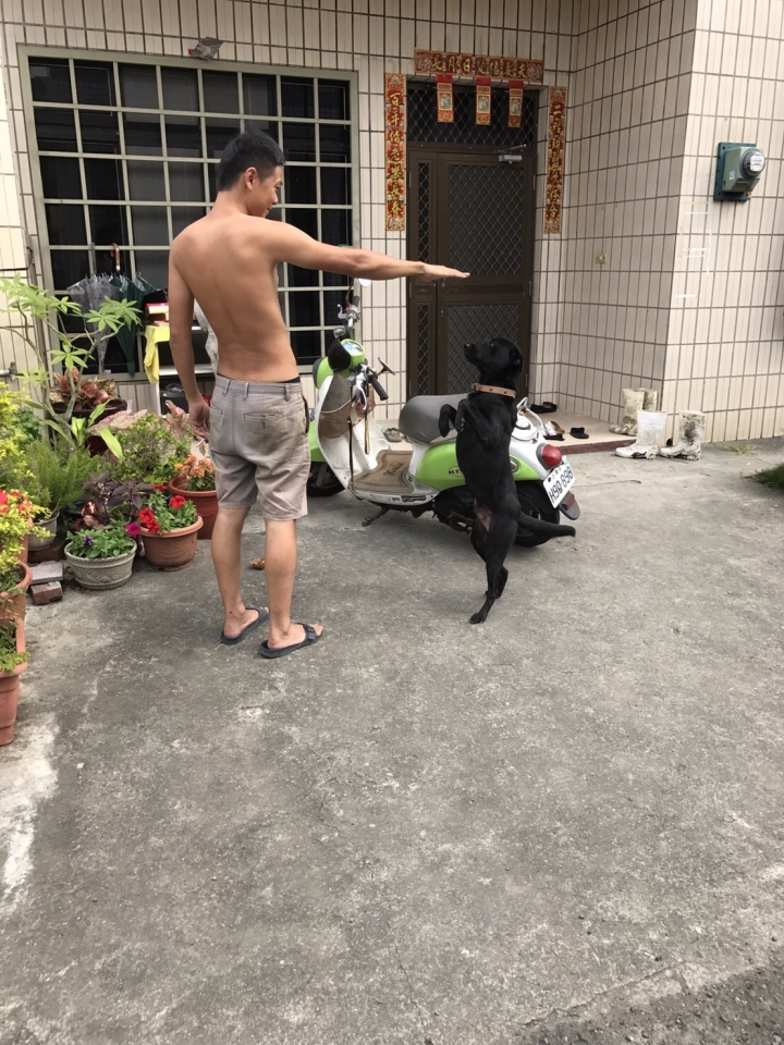 麻煩各位PS大神 想跟過世的狗狗合照