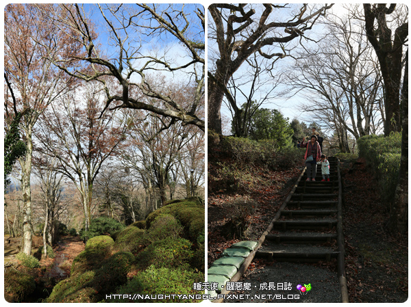 【箱根住宿】渡假的腳步就該緩慢,箱根高地飯店的恬靜清悠讓人忍不住停下腳步來好好享受這裡的美