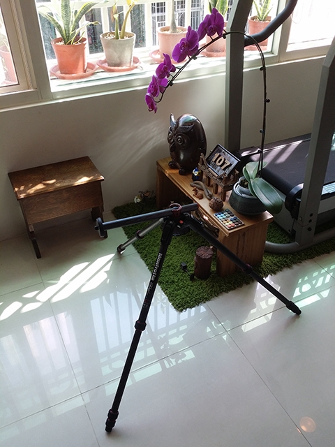 (第三次歸納)買Manfrotto(曼富圖)190系列或者055系列,鋁合金或碳纖維,球型雲台或三向雲台,請前輩們指導。