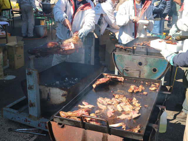 「靜岡景點」--不下河津町的河津櫻千本櫻:南伊豆町的油菜花與櫻花祭!!!
