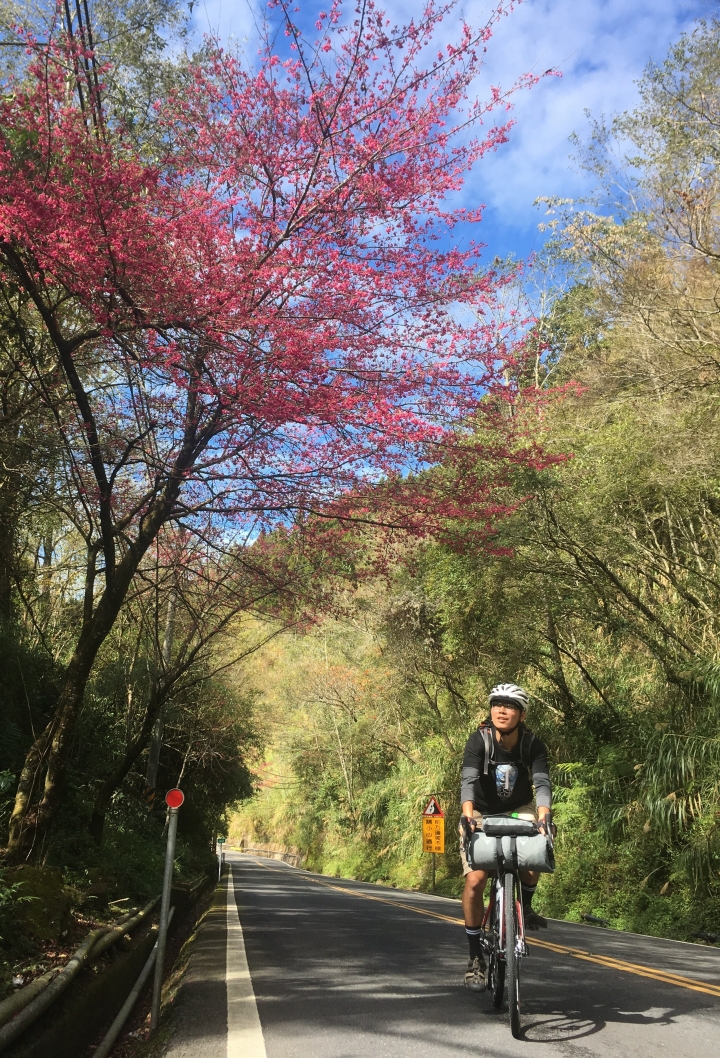 "流浪者日誌" - 隱身於阿里山谷中的特富野部落