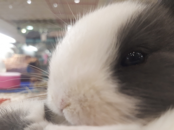 Samsung Galaxy A7(2017)讓你感受旗艦機種的威~顯