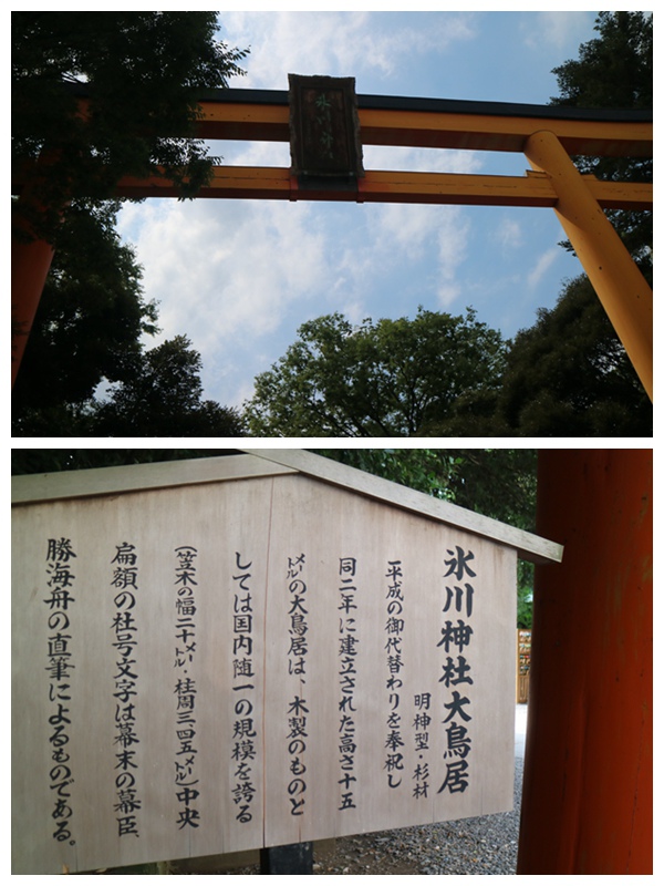 【遊。2016川越】喜多院、冰川神社、小川菊鰻魚飯、小江戶川越一日遊