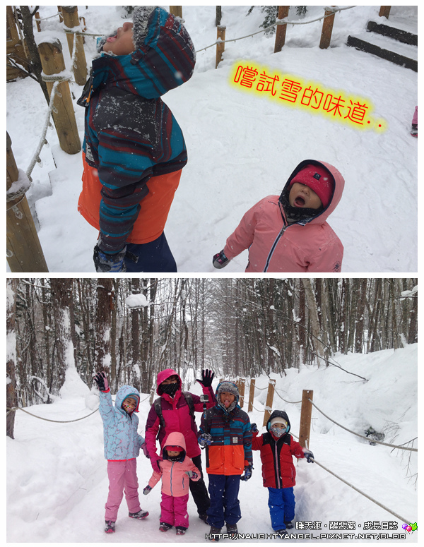 【北海道滑雪樂】富良野滑雪場Family Snow Land、雪上汽艇、香蕉船玩到爽,森林裡尋找小精靈