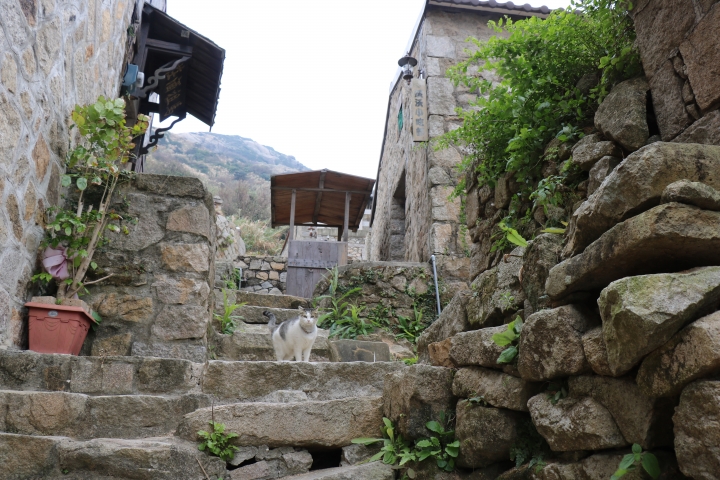 西莒 東莒 南竿 北竿 一個人旅遊 - day3 北竿 (最後一篇)