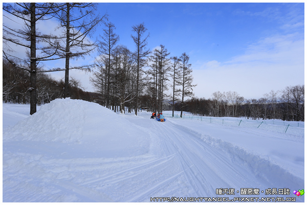 【北海道滑雪樂】富良野滑雪場Family Snow Land、雪上汽艇、香蕉船玩到爽,森林裡尋找小精靈