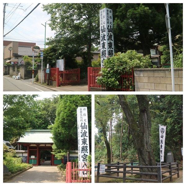 【遊。2016川越】喜多院、冰川神社、小川菊鰻魚飯、小江戶川越一日遊