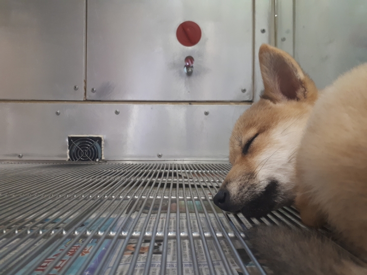 Samsung Galaxy A7(2017)讓你感受旗艦機種的威~顯