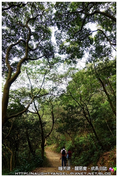 【桃園-虎頭山】適合聚會小歇的山中景觀餐廳~綠庭緣