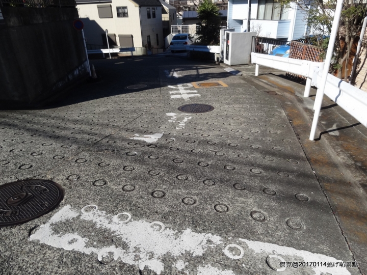 20170114 橫濱、伊豆修善寺